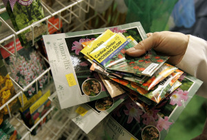 Flower Seeds