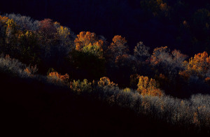 Fall Foliage In Northeast U.S.