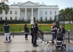 White House Fence Jumper