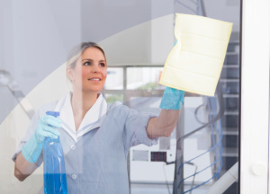 House cleaner