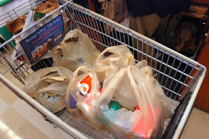 Plastic Bag Ban