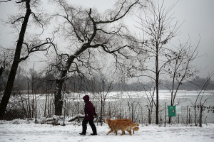 Nor'easter Storm Brings Light Snow To New York