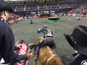PBR Front
