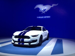 Shelby