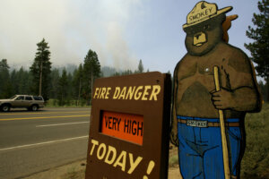 Forest Service Branding
