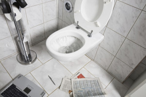 Toilet