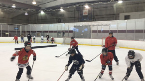 Play Hockey