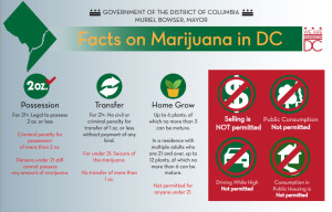 Infographicpotdc