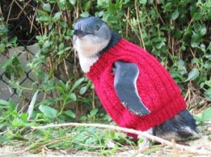 Penguin sweater