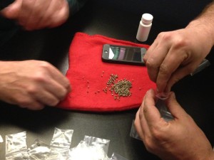 SEED SWAP