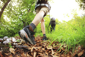 Hiking