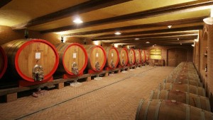 Luca Bosio Vineyards