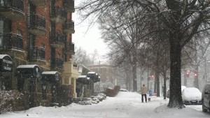 Snow dc idahoave
