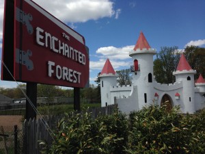 ENCHANTED FOREST
