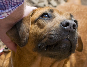 Paula2a