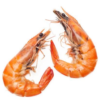 SHRIMP