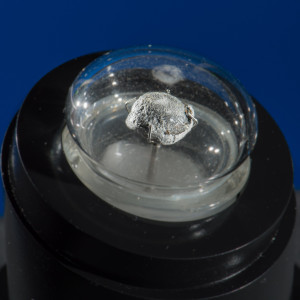 M 981.00322 The Bullet that Killed Abraham Lincoln
