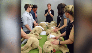 Dog cpr