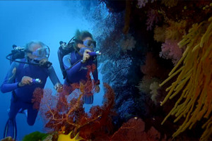 Secret ocean