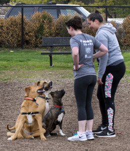 Frederick Dog Park
