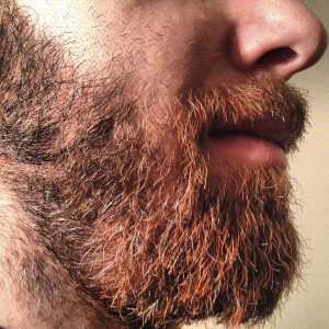 Beardedman