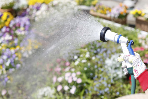 Garden hose thinkstock