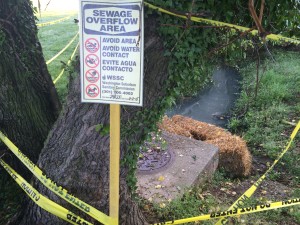 Sewage1