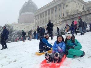 Sled in