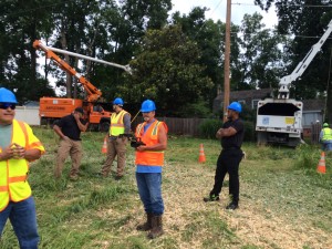 TREES pepco