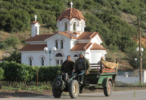 Greece Vineyards