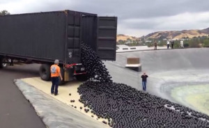 SHADE BALLS