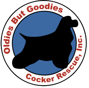 OBGlogo500