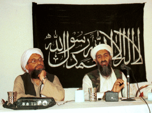 Alqaeda