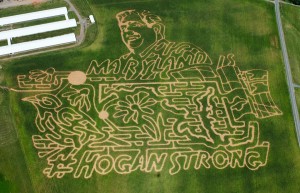 Hogan maze