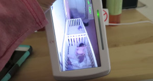 Twins in crib