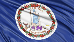 Virginia flag full ts