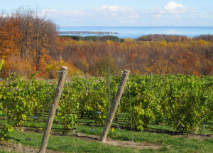 Food and Farm Michigan Wine