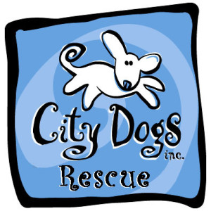 CD Rescue Logo