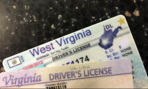 DRIVERS LICENSES
