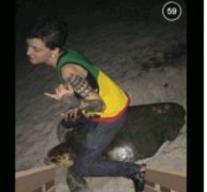 Florida sea turtle woman police