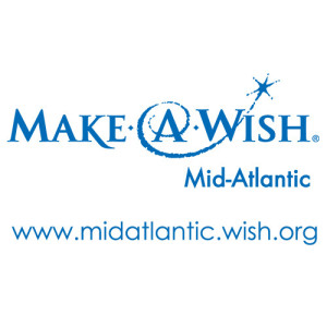 Logo website PMS293