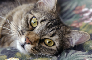 ThinkstockPhotos