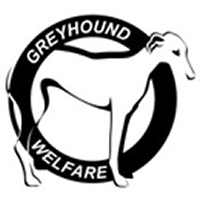 Greyhound