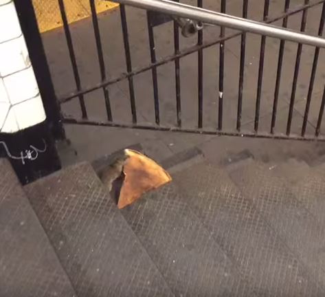 Pizza rat