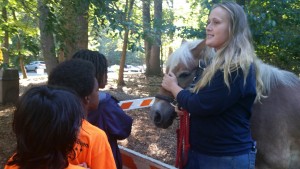 Rockcreek kids parks kst