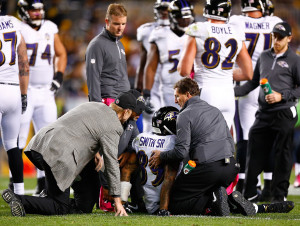 Baltimore Ravens v Pittsburgh Steelers