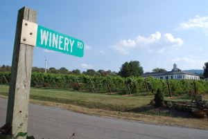 Travel Trip Virginia Vineyards