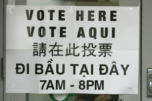 CAMPAIGN 2008 VOTING