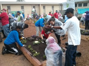 Real School Gardens