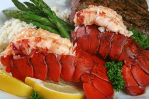 Lobster